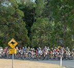 Золотое наступление компании «Rubena» на австралийских велогонках "Crocodile Trophy 2012"