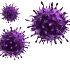 (Opatření) Informace k situaci kolem koronaviru