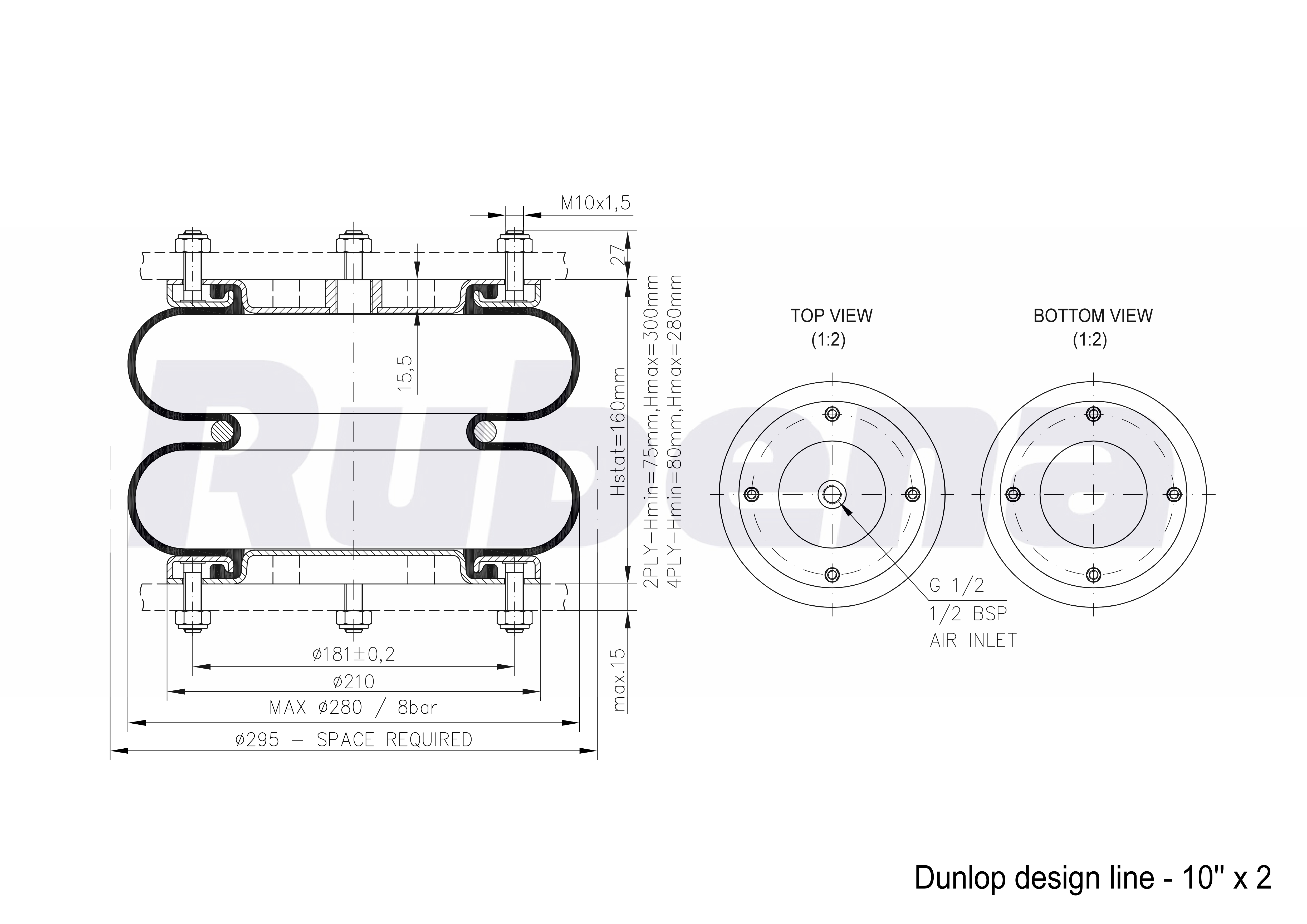 Dunlop Design Line 10 X 2 4ply Eco Rubenaeu